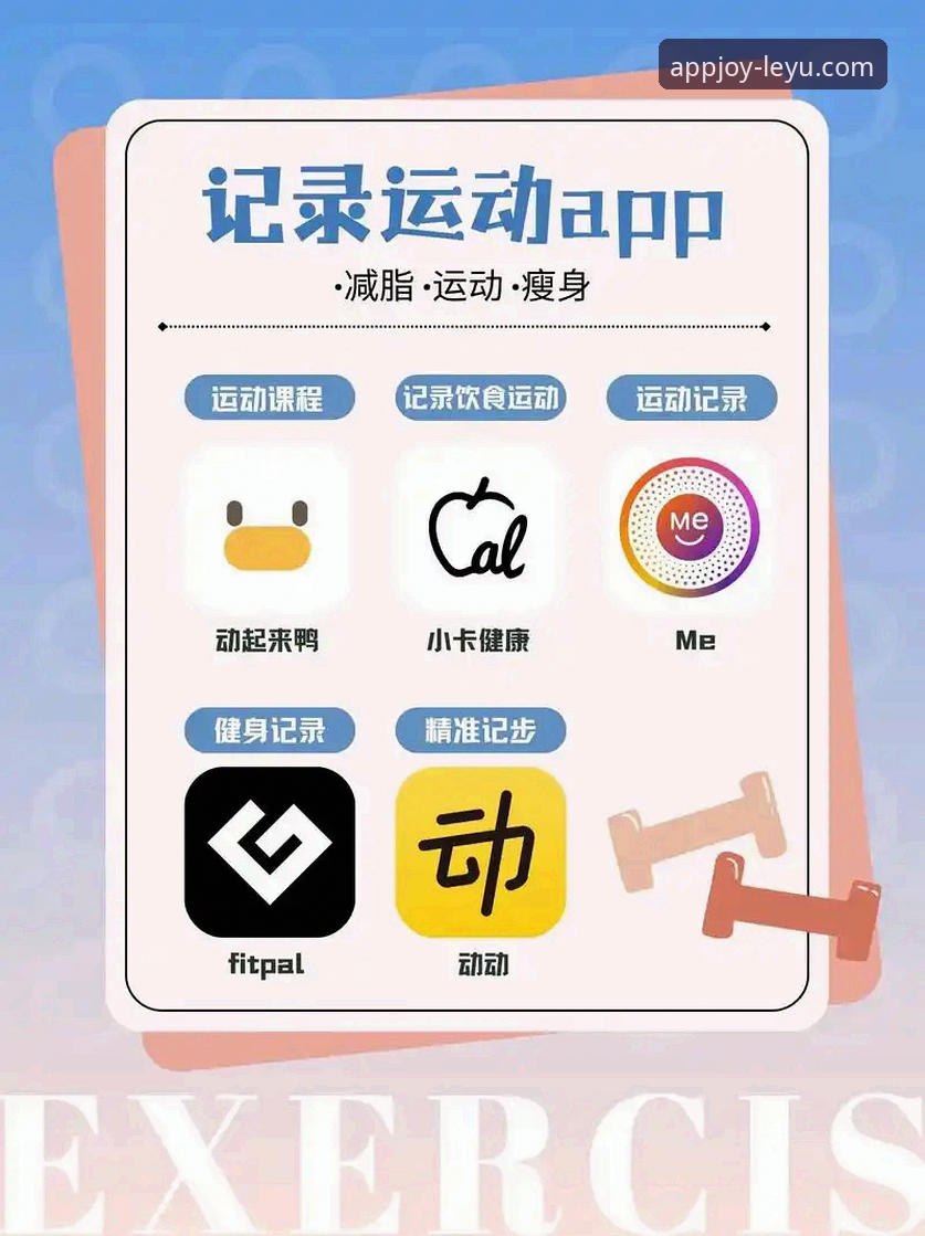 如何高效使用乐鱼体育APP？这份官方指南让你快速上手
